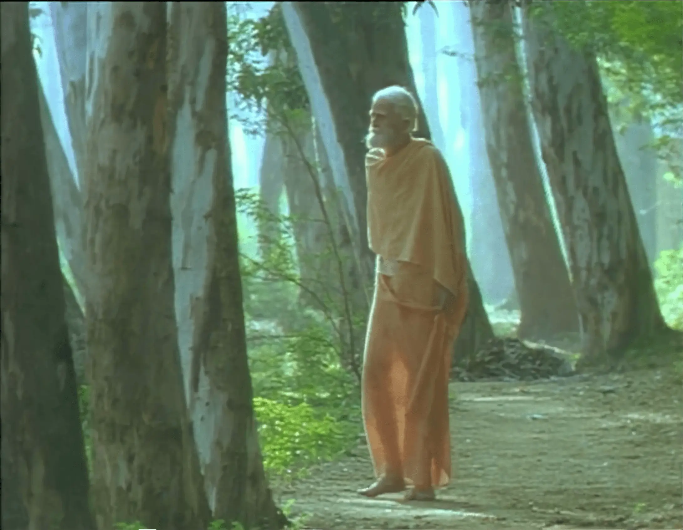 Fr Bede in forest
